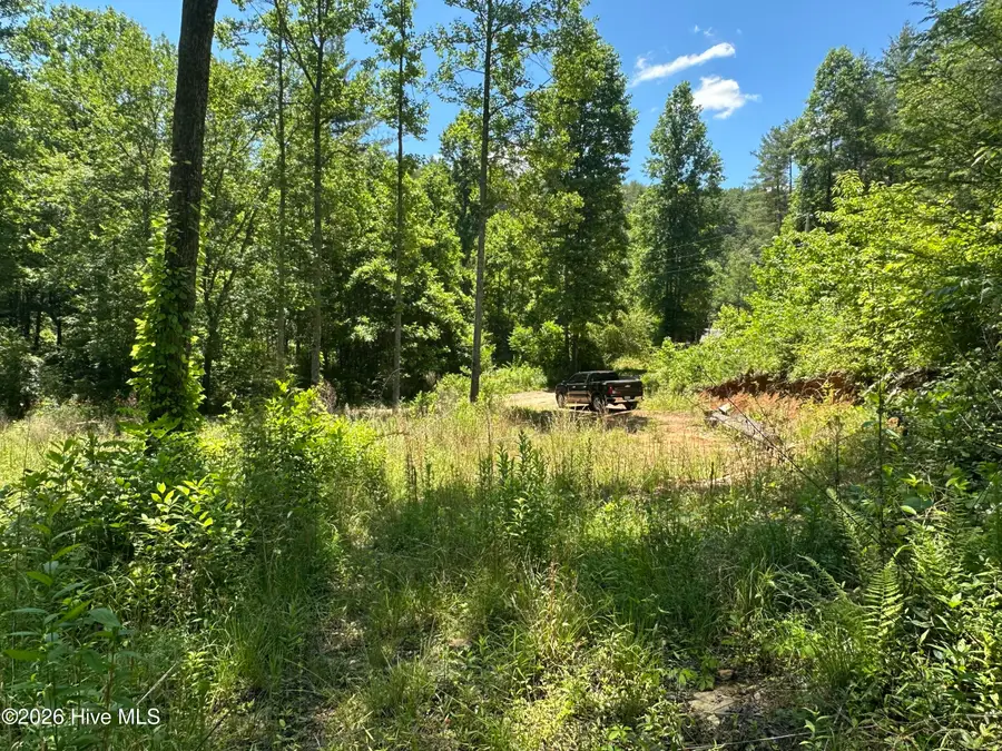 Lt 41 & 42 Smokey Hollow Drive, Murphy, NC 28906 - #3