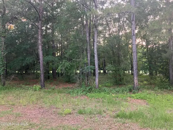 112 Riverstone Run Drive, Wallace, NC 28466