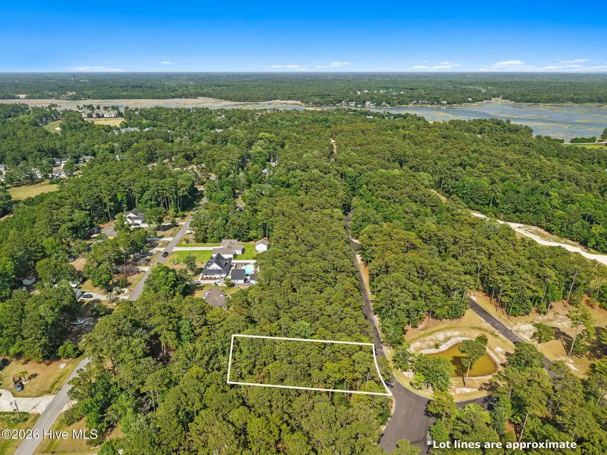 3740 Pine Brook Trail, Shallotte, NC 28470 - #1