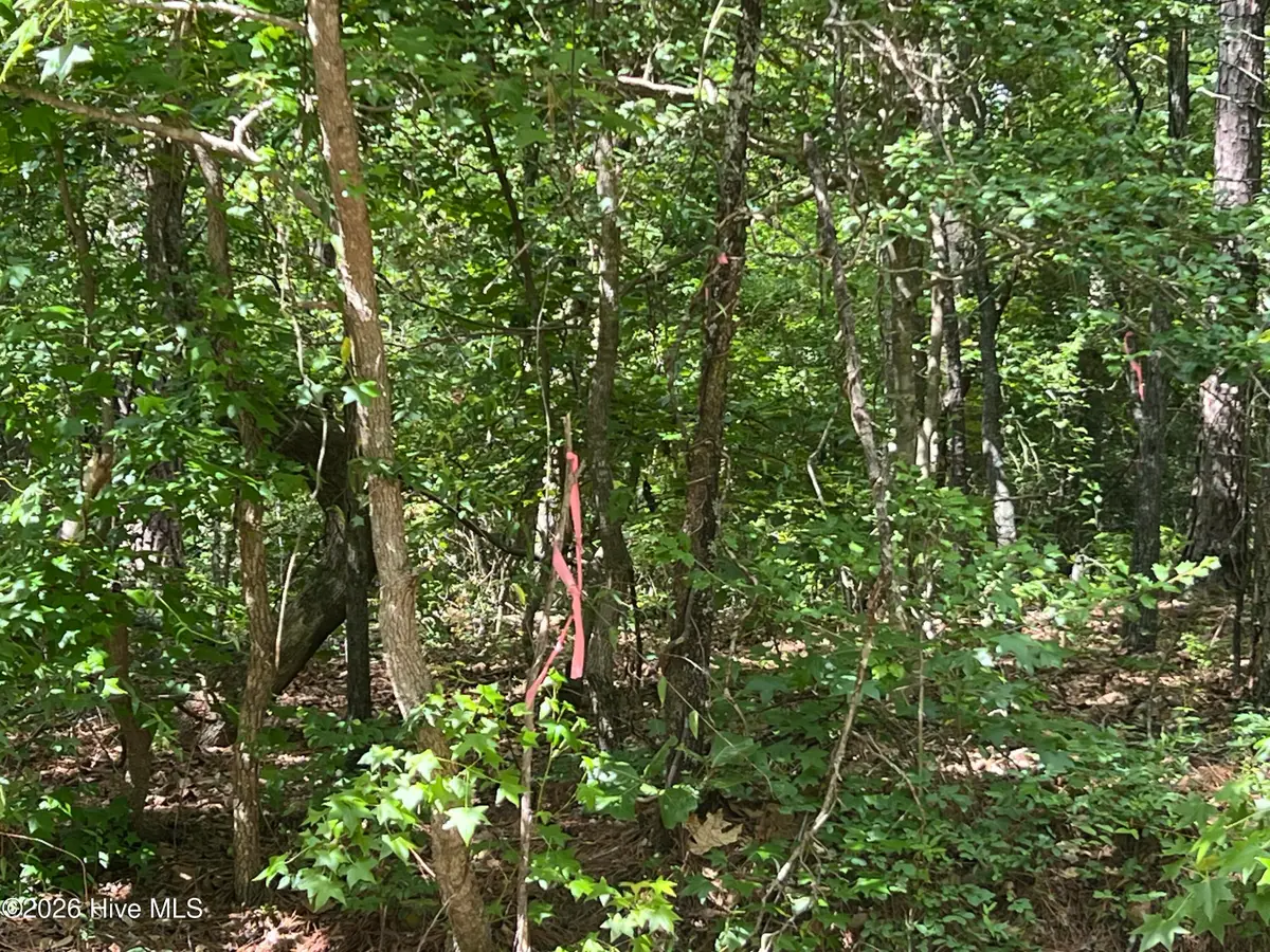 747 Sandspur Drive, Vass, NC 28394 - #1