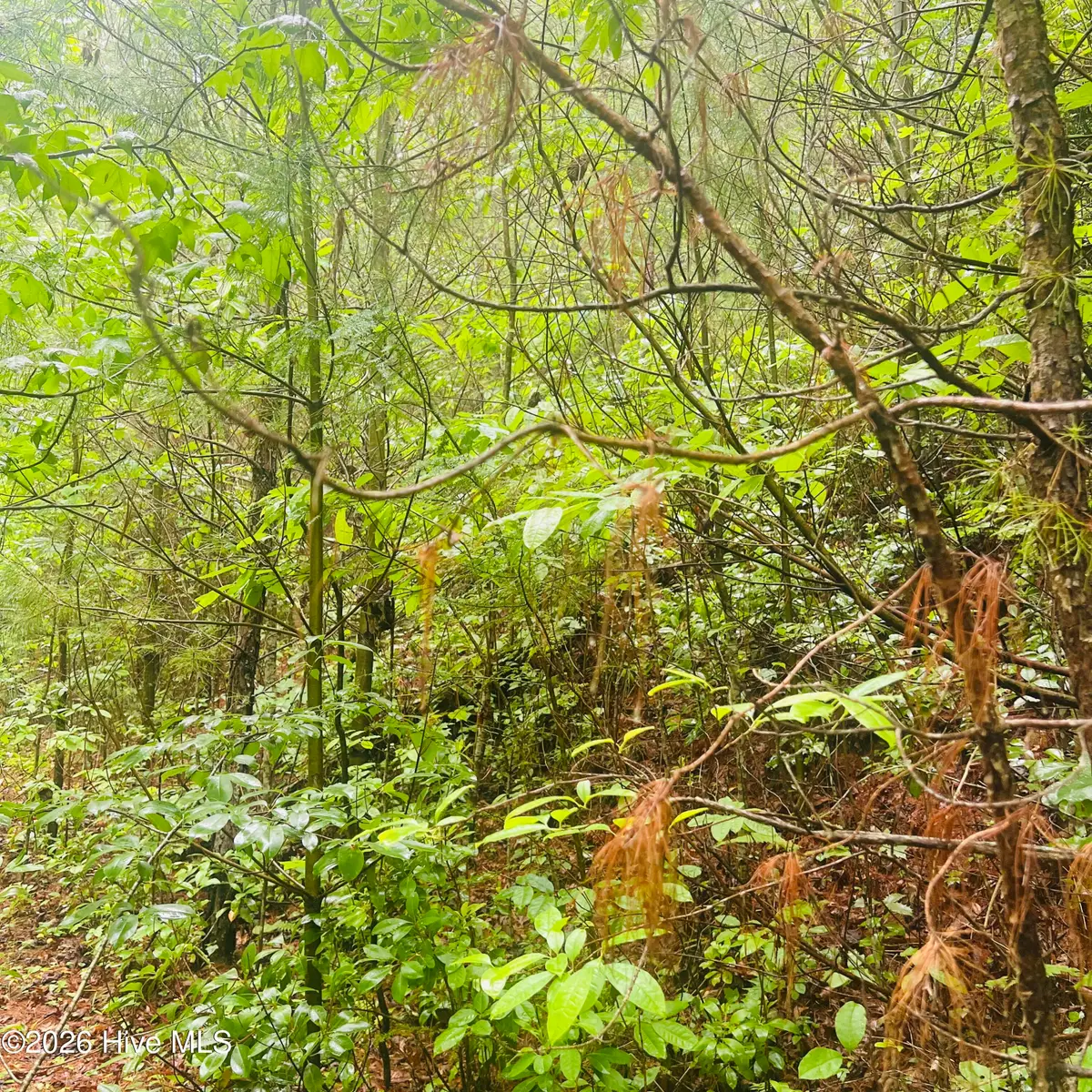 Lot 20 Owl Bluff, Murphy, NC 28906 - #1