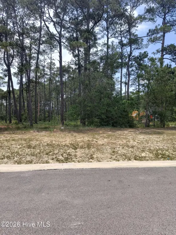 6077 Isla Mona Drive Sw, Shallotte, NC 28470