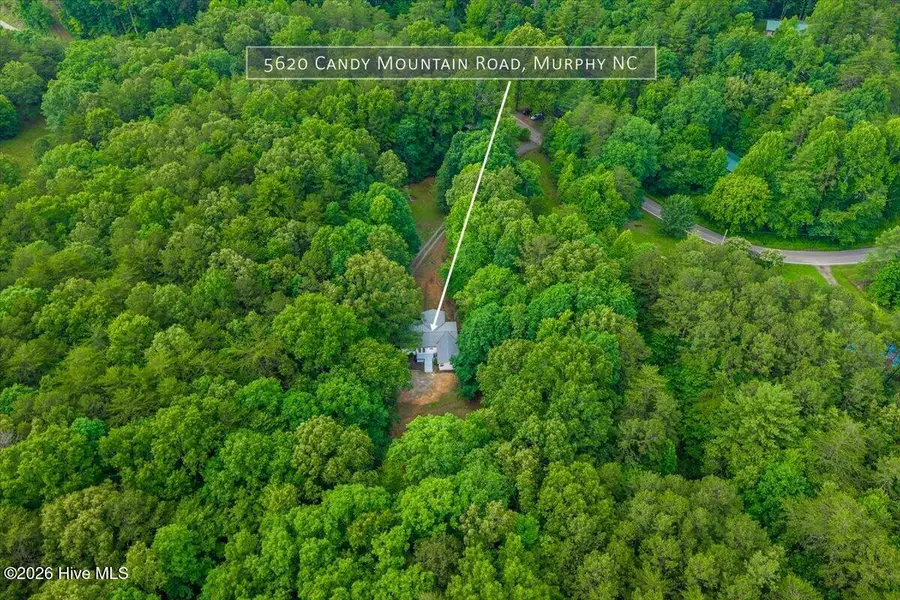 5620 Candy Mountain Road, Murphy, NC 28906 - #3