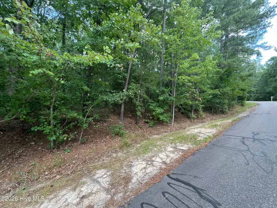 307 Thimbleberry Drive, Vass, NC 28394 - #2
