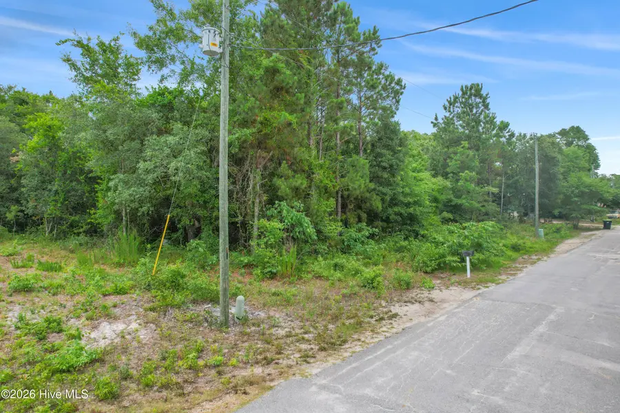 1874 Silent Grove Avenue Sw, Supply, NC 28462 - #3