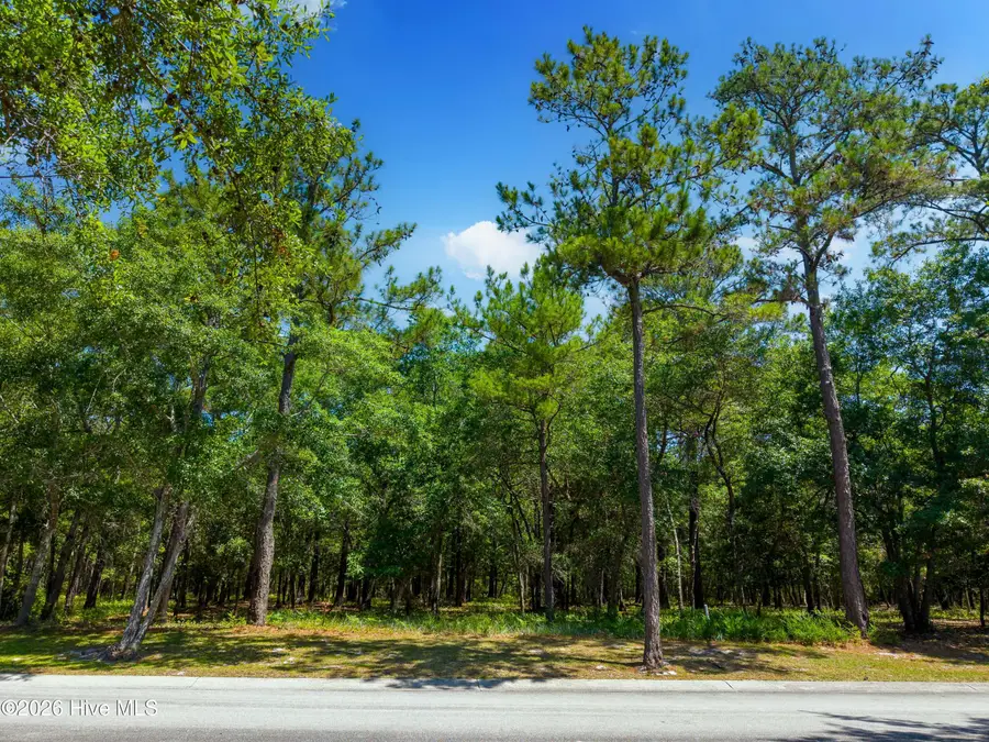 580 Maritime Way Sw, Supply, NC 28462 - #3