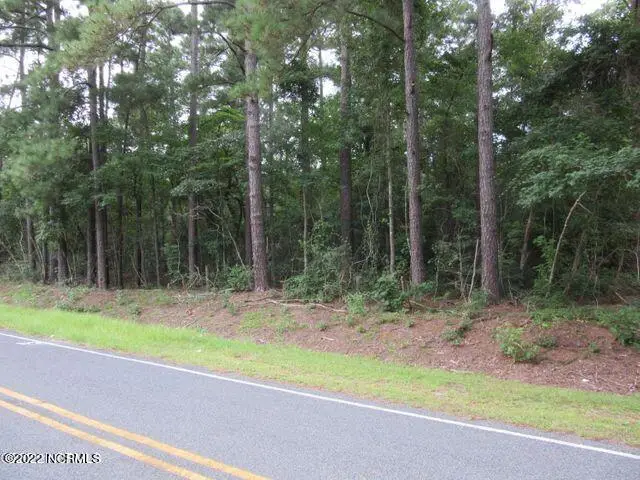 Near 484 John Spaulding Road, Clarkton, NC 28433 - #1