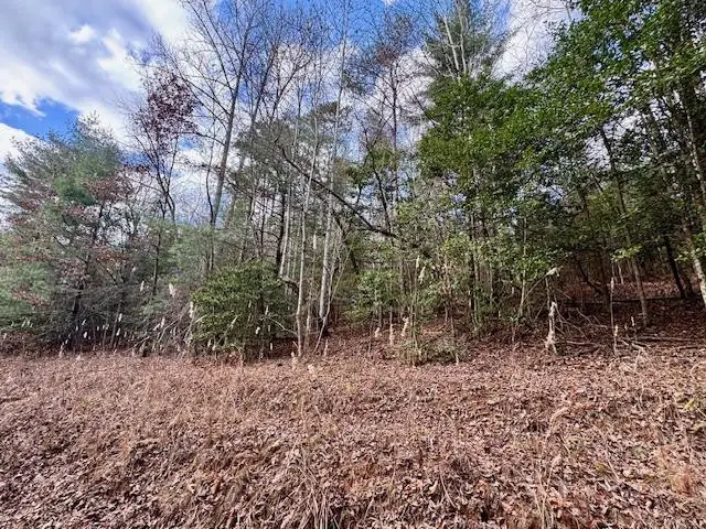 Lot 9 Timberline Road, Murphy, NC 28906 - #1