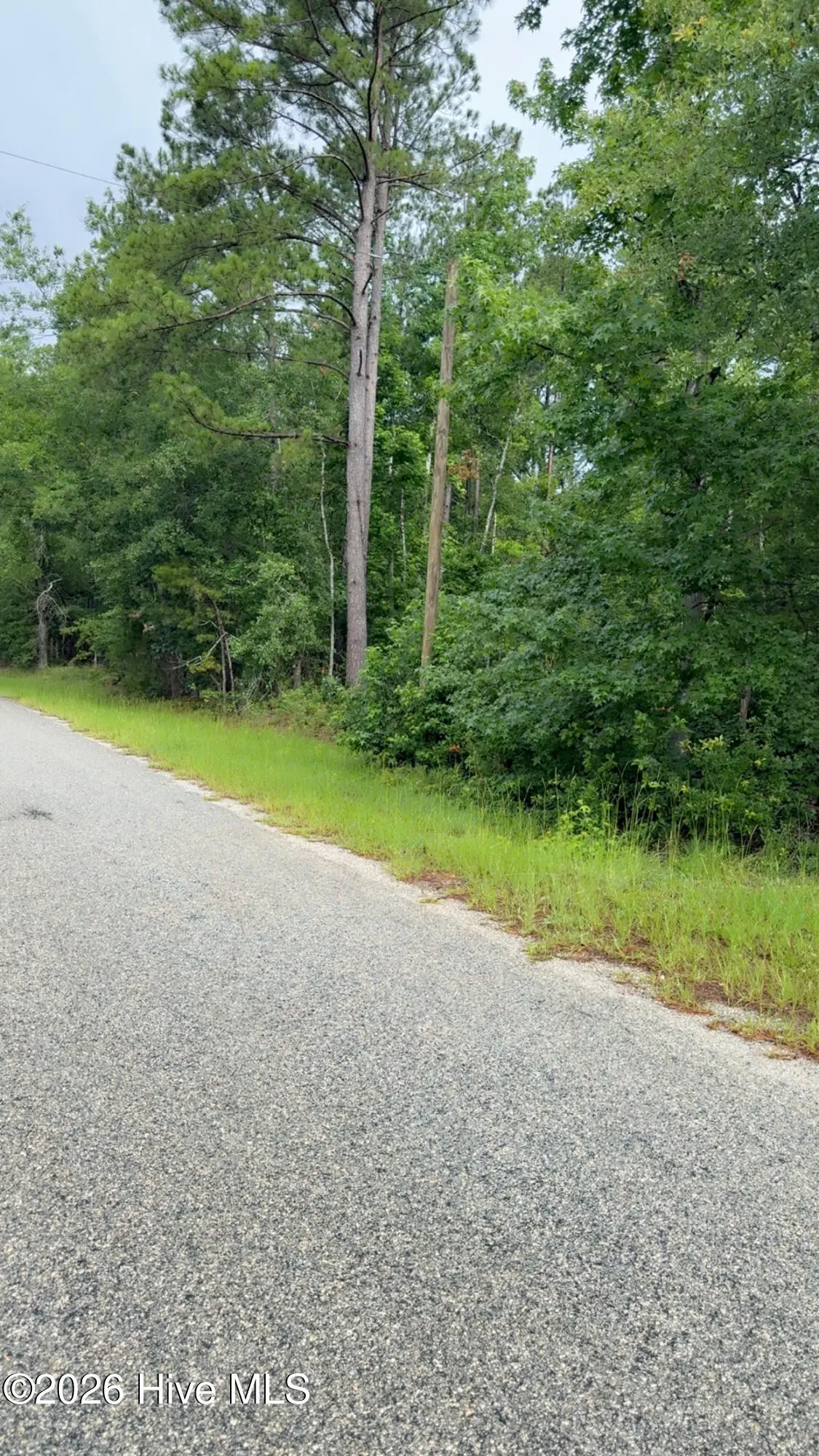 Lot 18 Long Horn, Waynesboro, GA 30830 - #1