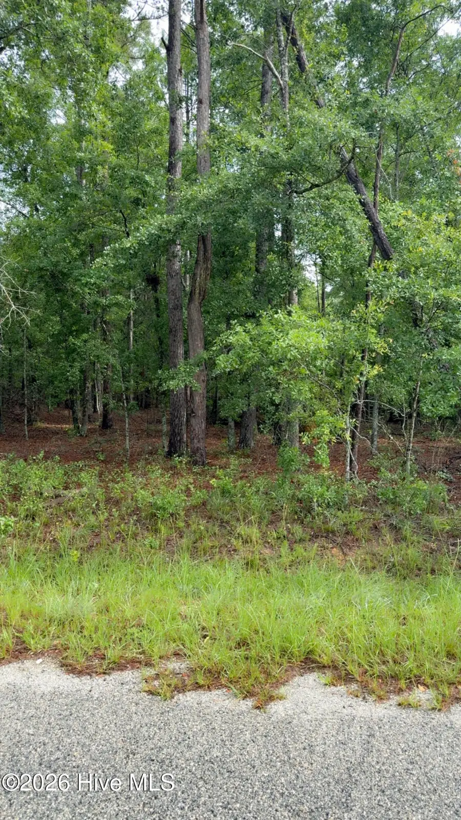Lot 18 Long Horn, Waynesboro, GA 30830 - #2