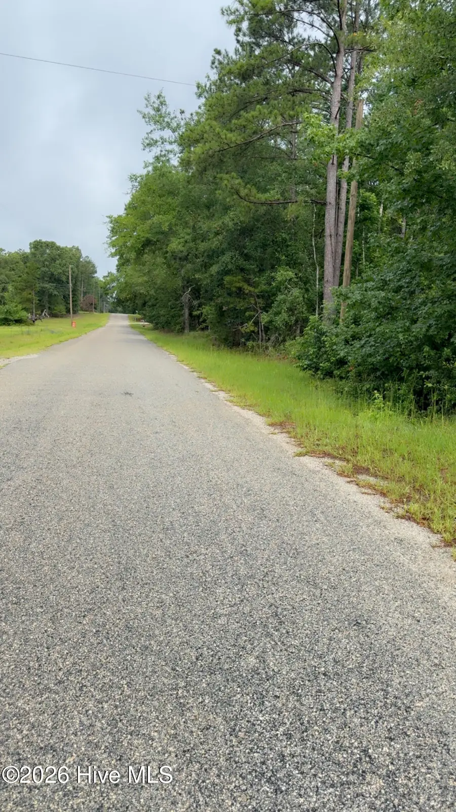 Lot 18 Long Horn, Waynesboro, GA 30830 - #3