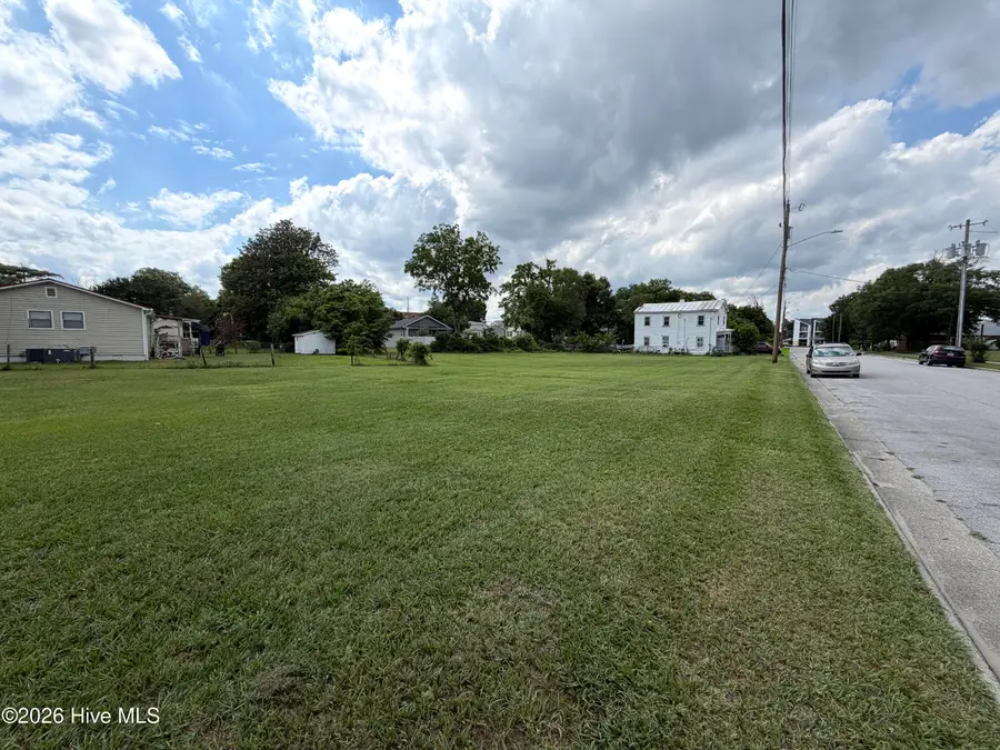 201 Liberty Street, New Bern, NC 28562 - #3
