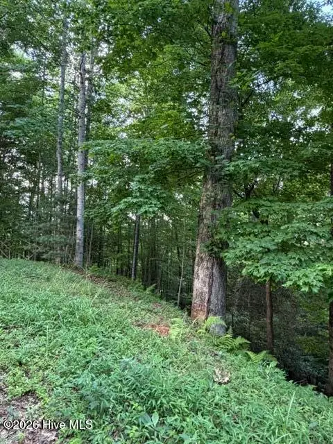 Lot 59 Quiet Mountain Trail, Murphy, NC 28906 - #1