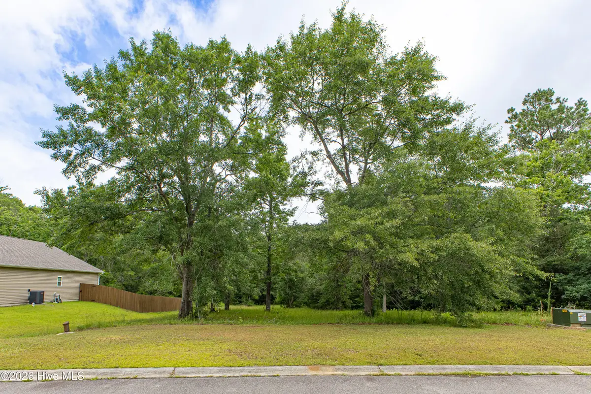 529 N Wild Rice Drive Sw, Supply, NC 28462 - #1