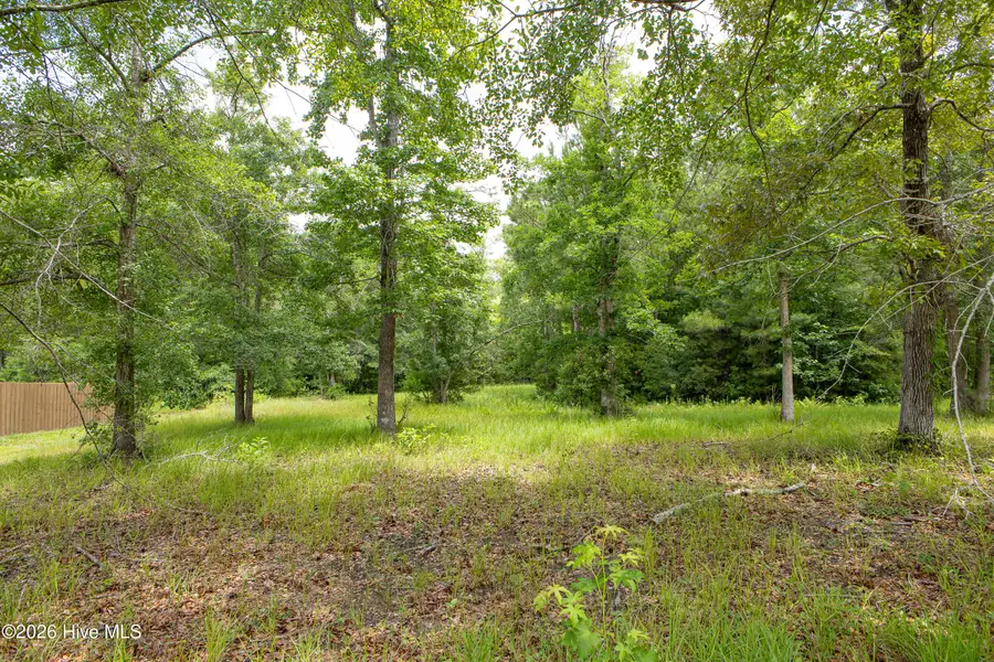 529 N Wild Rice Drive Sw, Supply, NC 28462 - #3