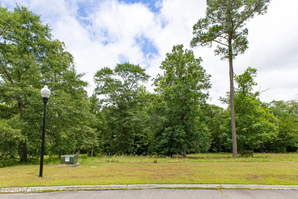 535 N Wild Rice Drive Sw, Supply, NC 28462 - #1