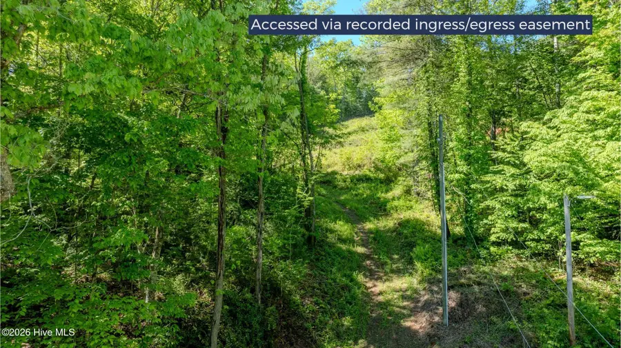 10 Carey Drive, Robbinsville, NC 28771 - #2