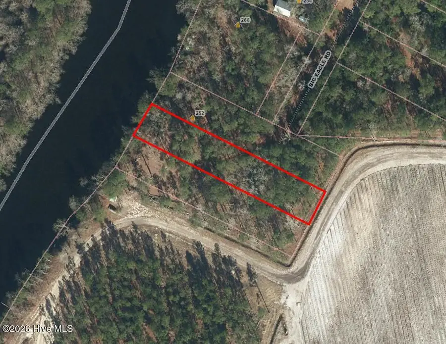 2 Big Eagle Road, Atkinson, NC 28421 - #2