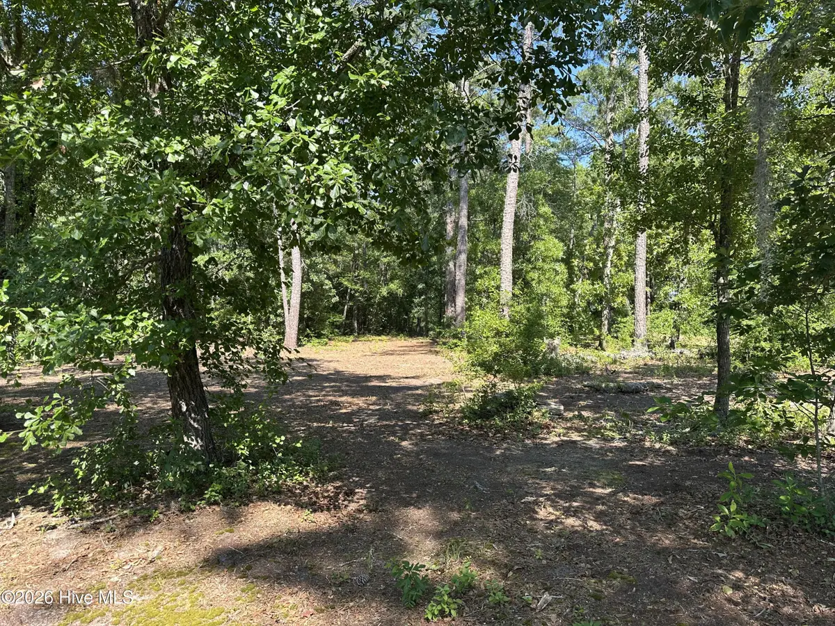 3 Big Eagle Road, Atkinson, NC 28421 - #1