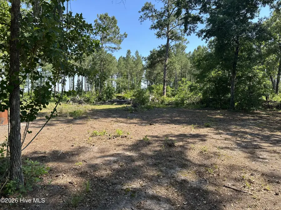 3 Big Eagle Road, Atkinson, NC 28421 - #2