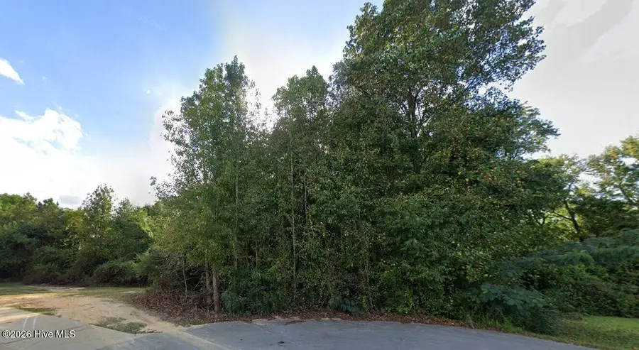 00 Livingston Lane, Clinton, NC 28328 - #2