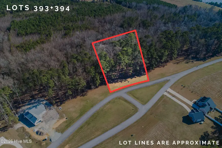 289 S Brightleaf Drive, Minnesott Beach, NC 28510 - #3
