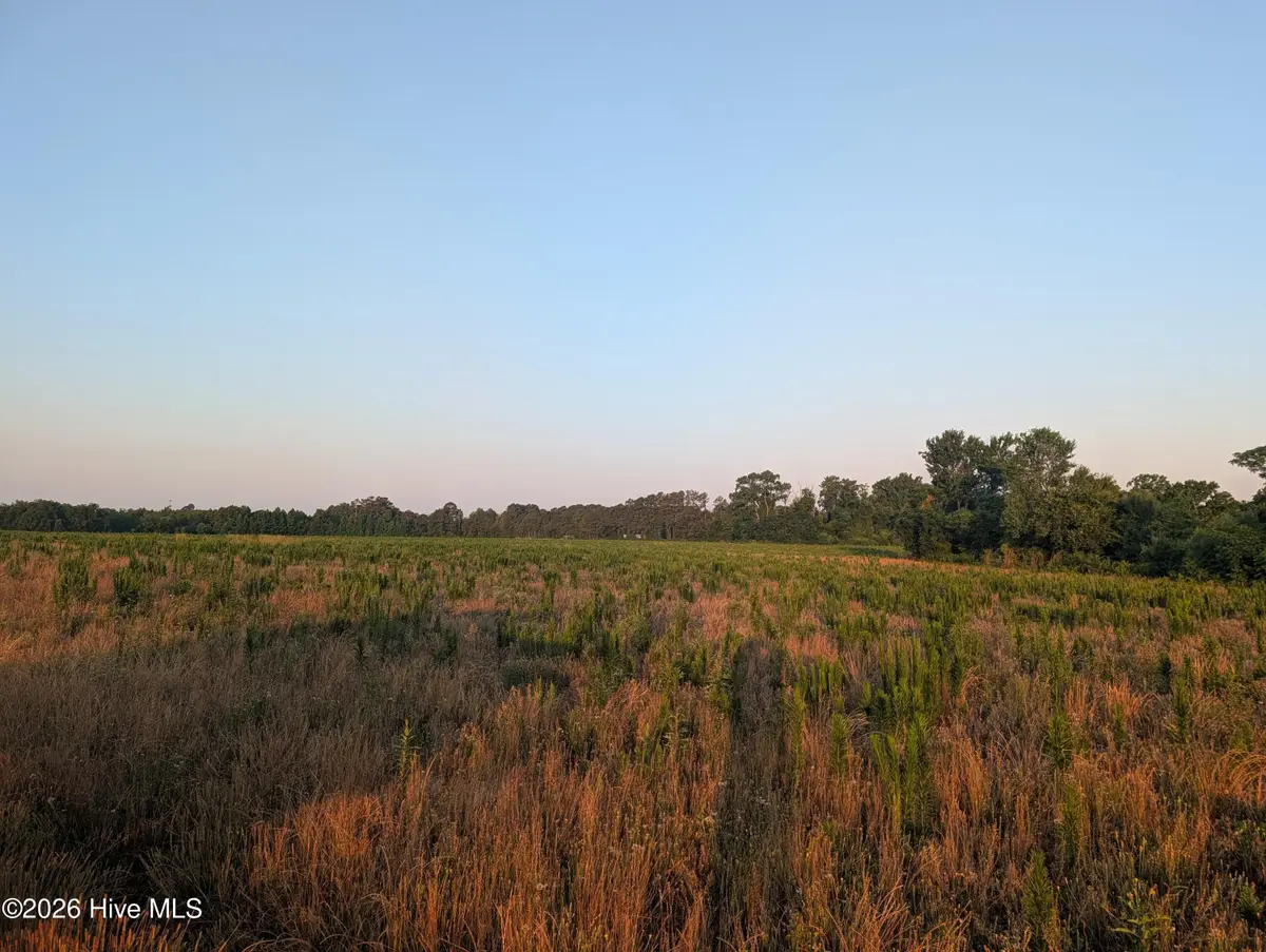 768 Fisher Road, Saint Pauls, NC 28384 - #1