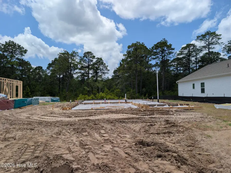 156 S Umbrella Palm Drive, Hampstead, NC 28443 - #2