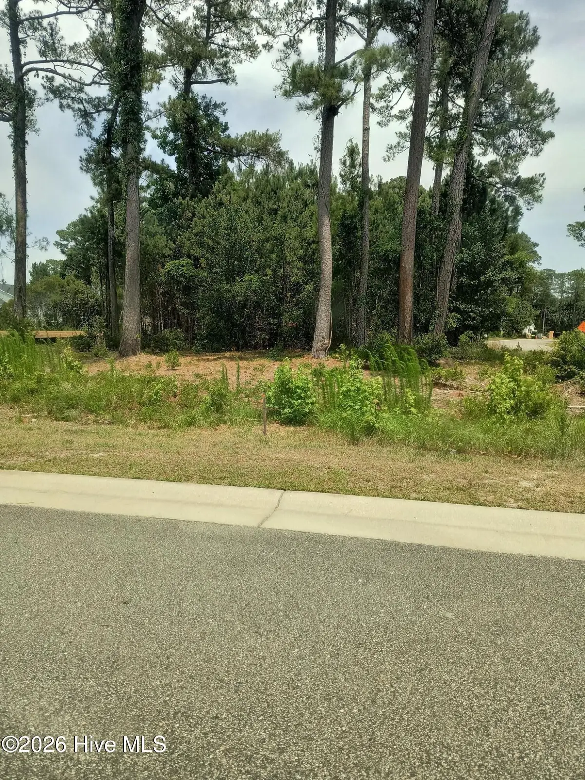 6096 Isla Mona Drive Sw, Shallotte, NC 28469 - #1