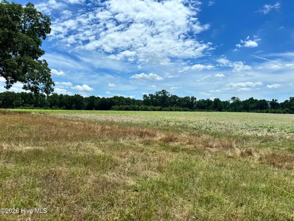 0 Rabbit Hollow Road, Snow Hill, NC 28580