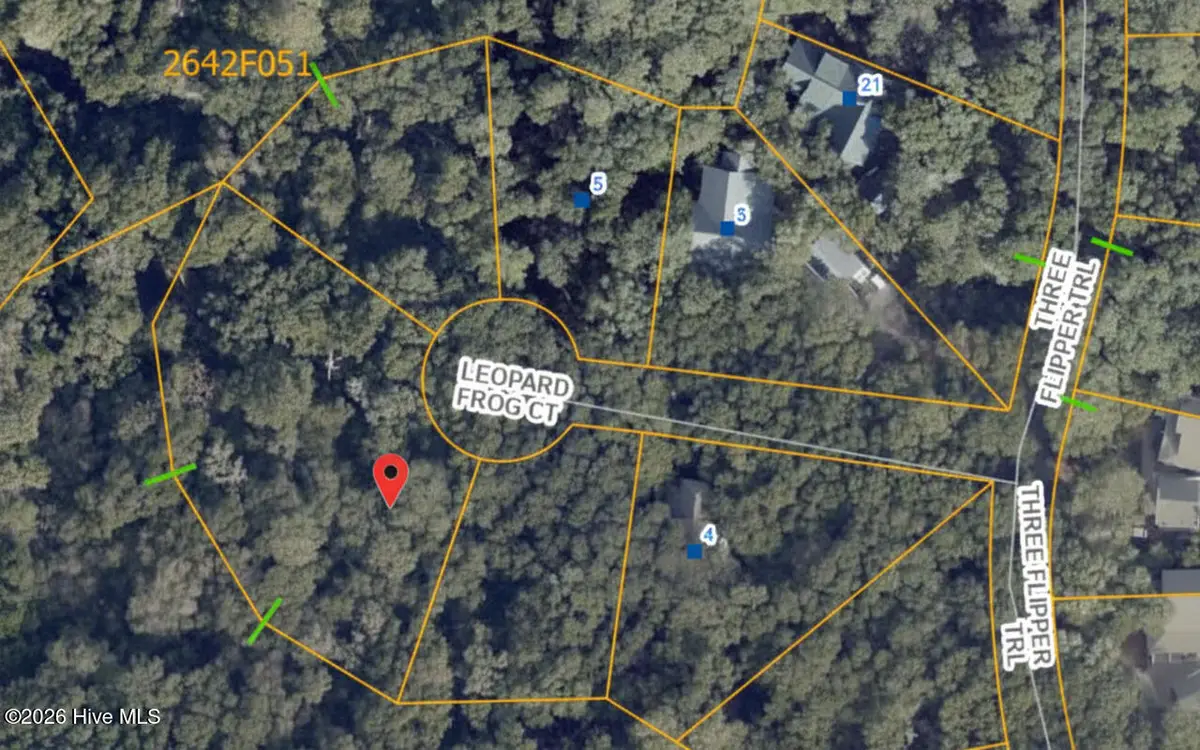 8 Leopard Frog Court, Bald Head Island, NC 28461 - #1