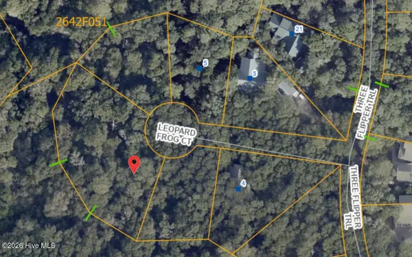 8 Leopard Frog Court, Bald Head Island, NC 28461