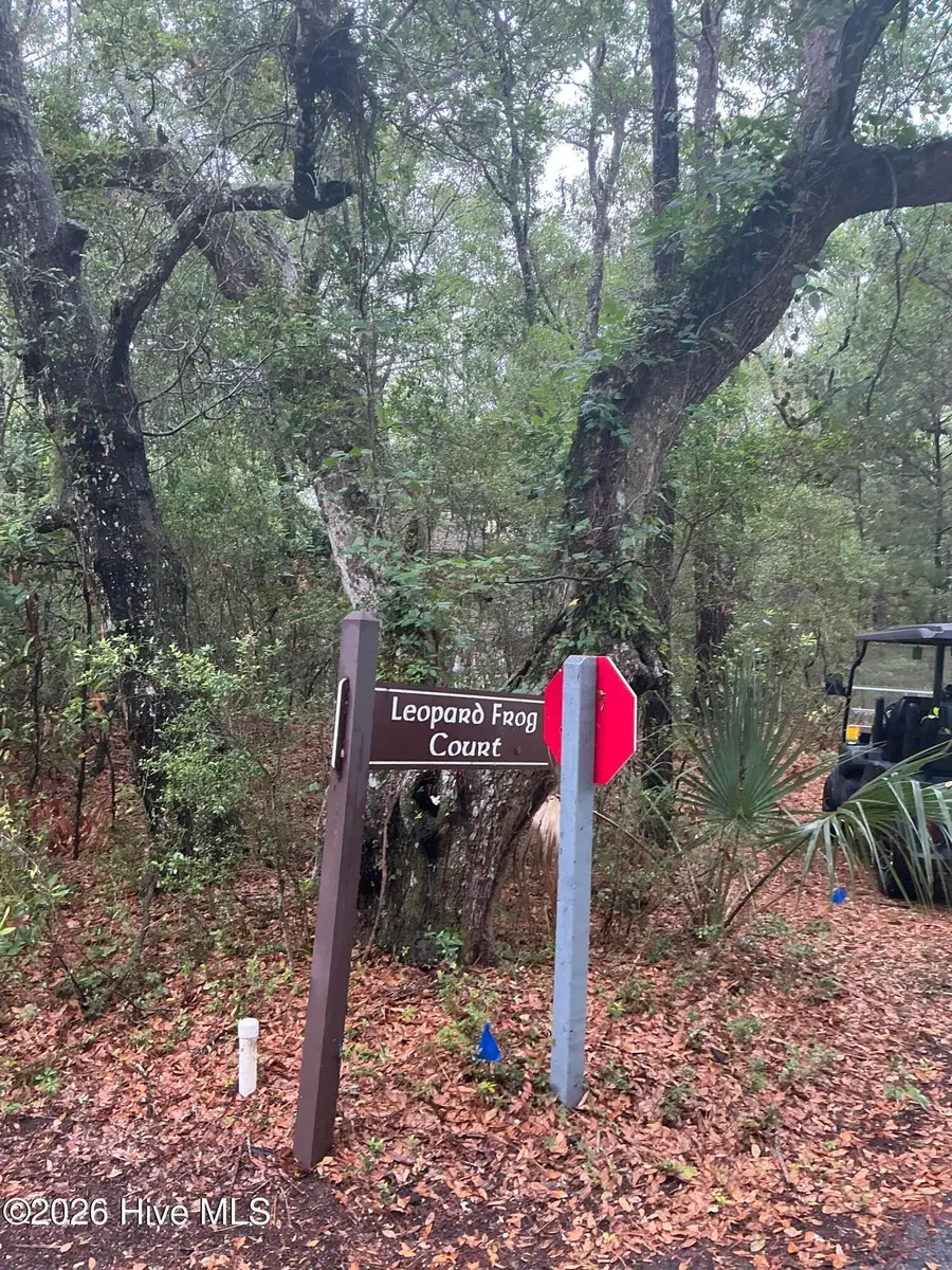 8 Leopard Frog Court, Bald Head Island, NC 28461 - #2