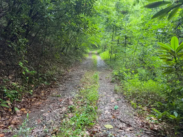 00 Poley Morrow Road, Murphy, NC 28906