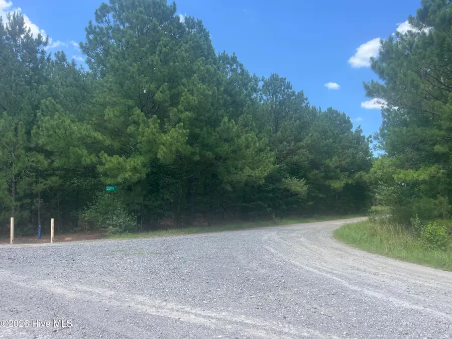 Tbd Curly Lane, Bennettsville, SC 29512 - #3