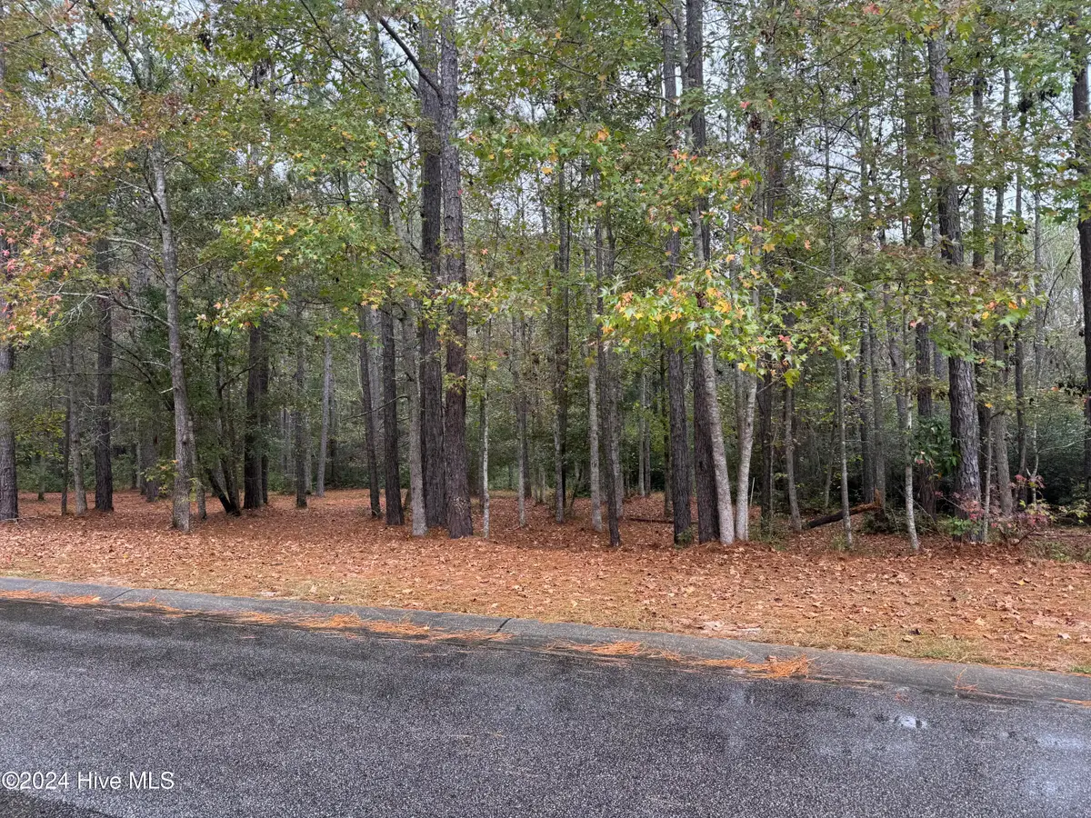 542 Lindgrove Place Sw, Ocean Isle Beach, NC 28469 - #1