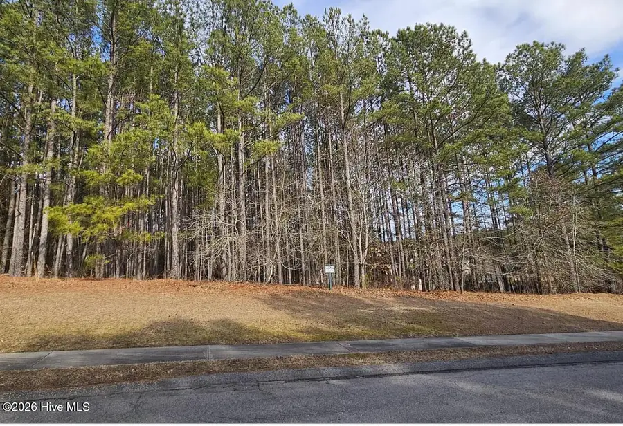 175 Broken Ridge Trail, West End, NC 27376 - #3
