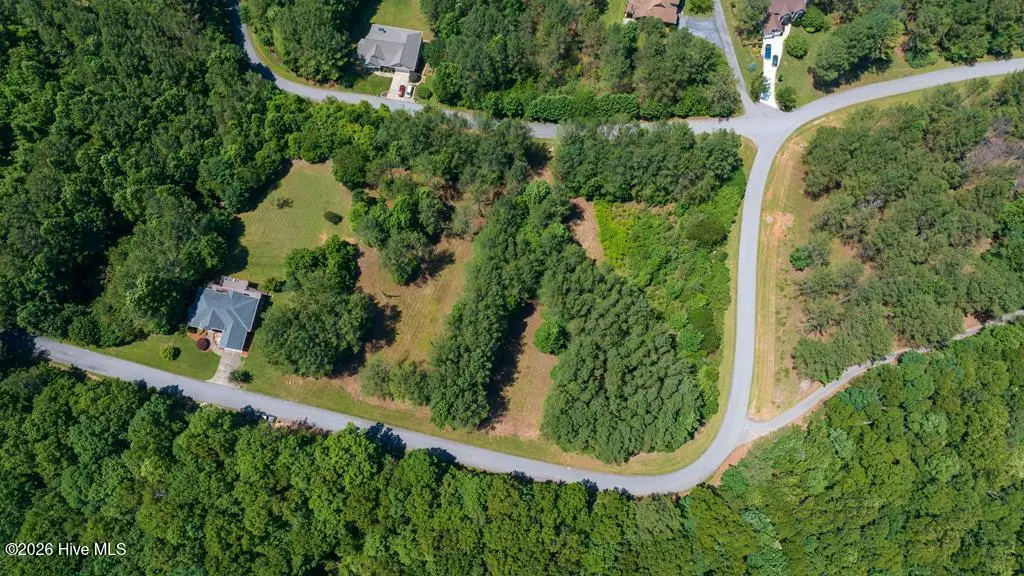 Lot 20 Loftis Mountain Way, Blairsville, GA 30512 - #1