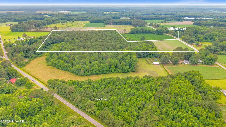 000 Willard Road, Willard, NC 28478 - #2