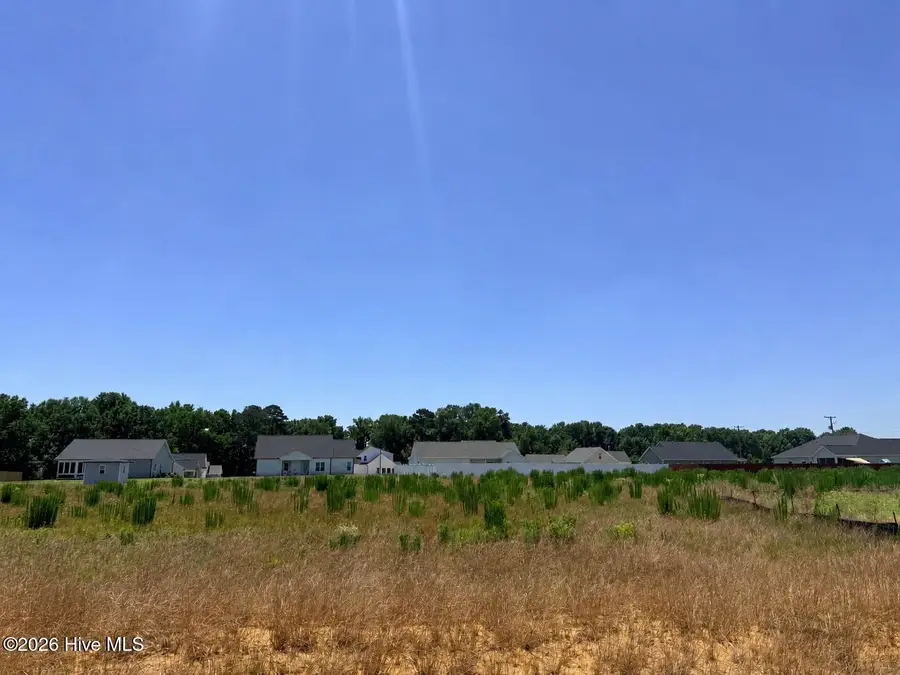 104 Jackson Ridge Way, Pikeville, NC 27863 - #2