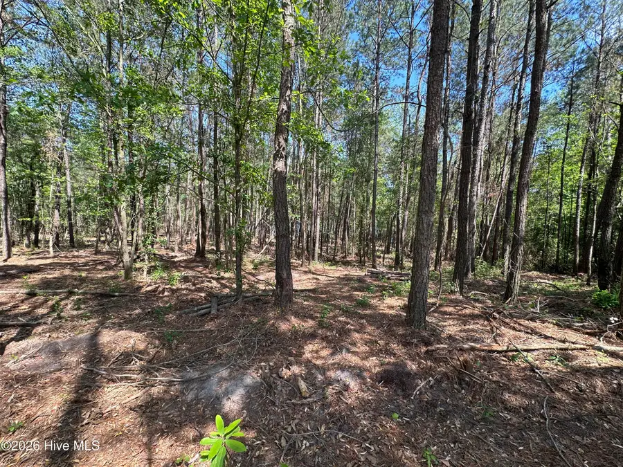 28 Hillside Lane, Clinton, NC 28328 - #2