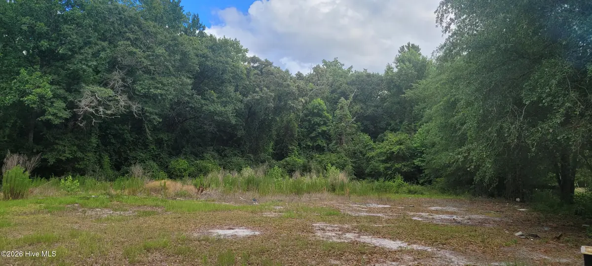 28379 Nc Hwy 210, Currie, NC 28435 - #1