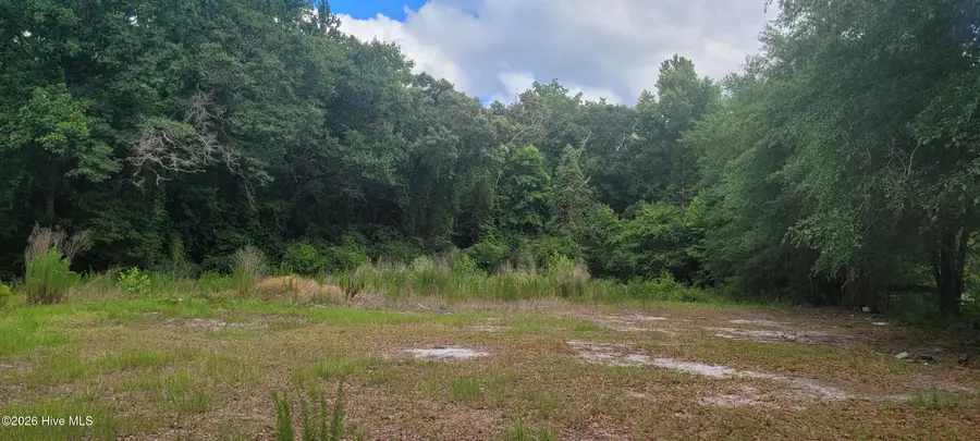 28379 Nc Hwy 210, Currie, NC 28435 - #2