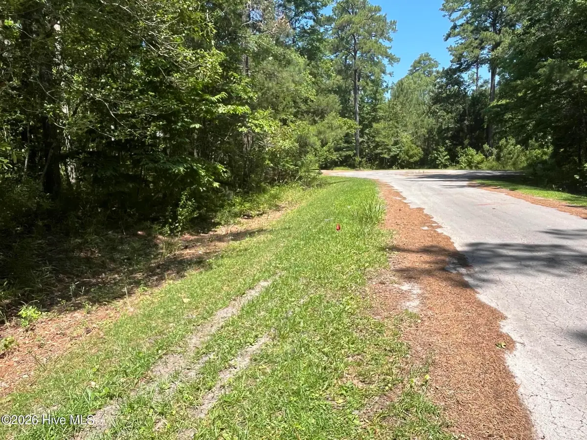 605 Peterson Place, Oriental, NC 28571 - #1