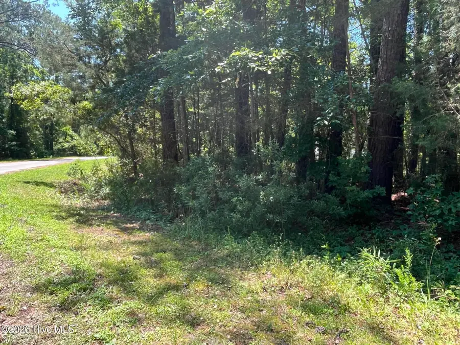 605 Peterson Place, Oriental, NC 28571 - #2