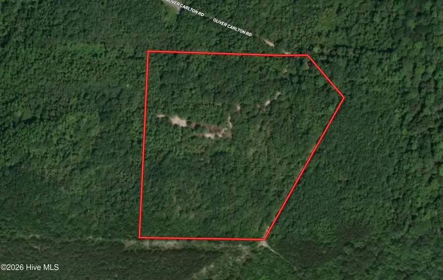 Tbd Oliver Carlton Road, Warsaw, NC 28398 - #2
