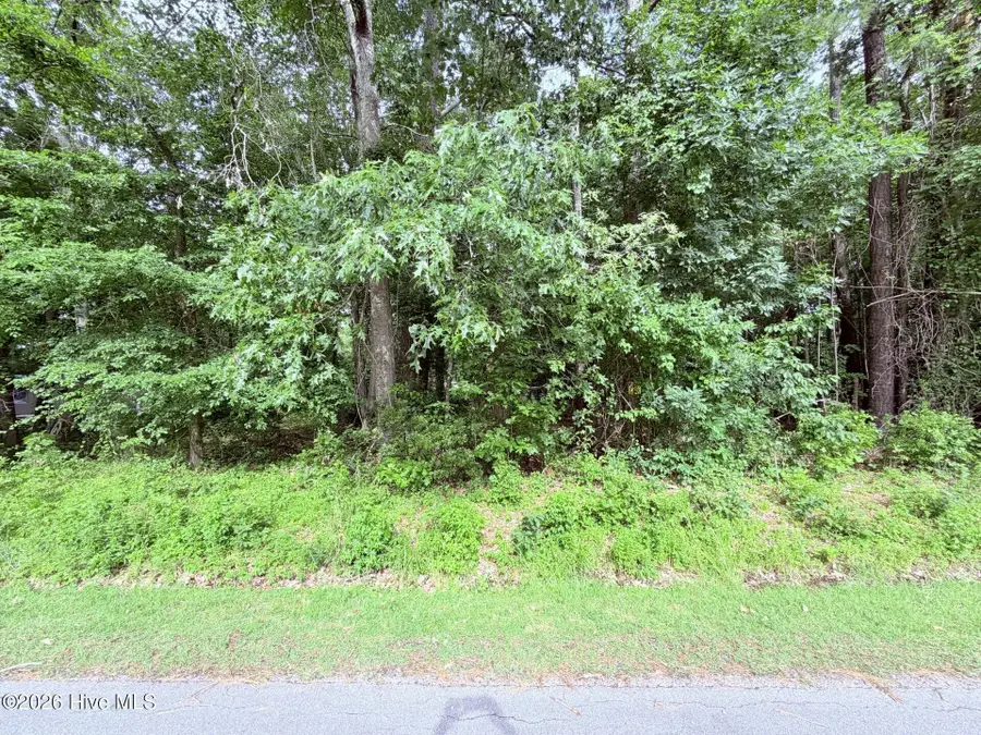 73 Laurel Street, Hertford, NC 27944 - #2