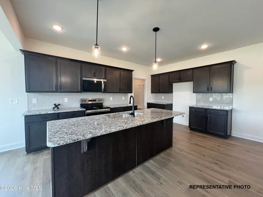 197 Cardovia Lane, Wendell, NC 27591 - #2