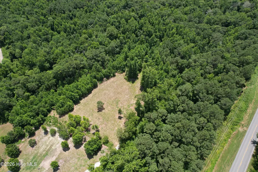 00 Old Chinquapin Road, Beulaville, NC 28518 - #2