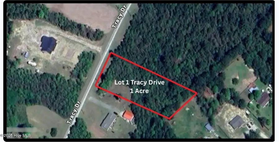 Lot 1 Tracy Drive, Burgaw, NC 28425 - #2